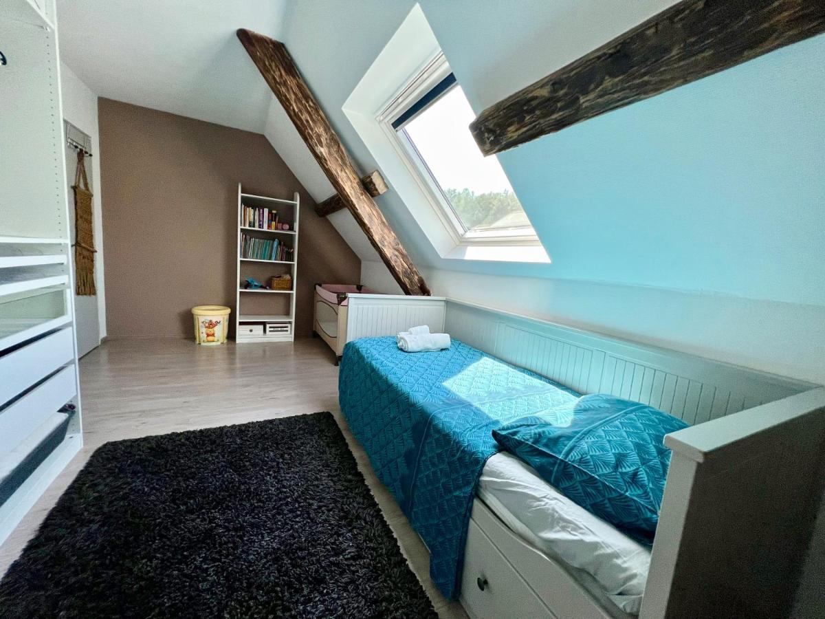 Superbe Appartement Duplex A Kaysersberg En Alsace Luaran gambar
