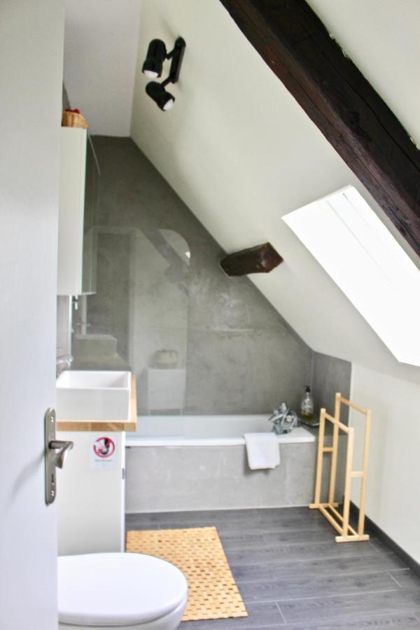 Superbe Appartement Duplex A Kaysersberg En Alsace Luaran gambar
